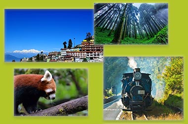 taxi booking darjeeling